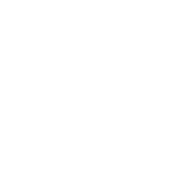Logo Flower Camping et gîtes du Lac du Causse