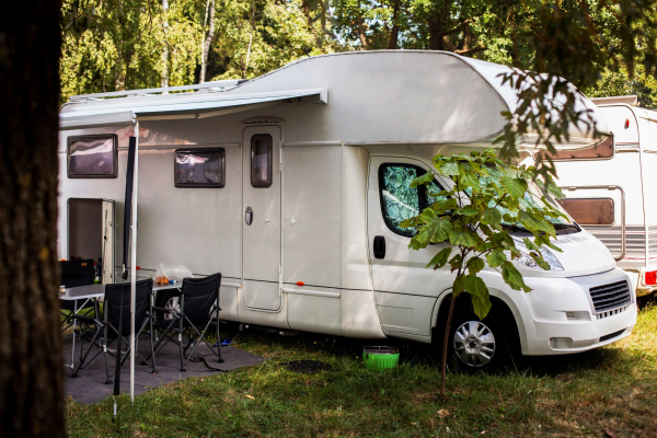 Flower drainage area at the causse lake campsite